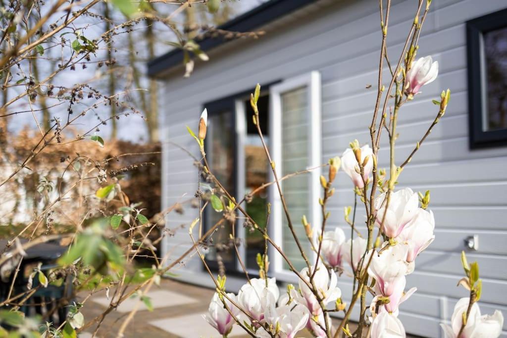 Gezellig Modern Chalet Midden Op De Veluwe Epe Eksteriør bilde